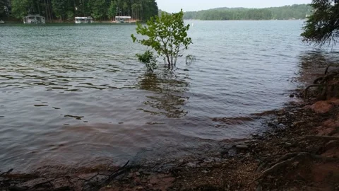 Rippling waters at the lake Stock Footage 134736704