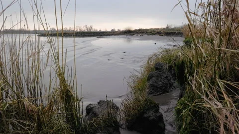 Rippling waves at the river Lek in The Netherlands Stock Footage 168947429