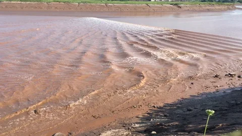 Rippling waves from the tidal bore in Moncton, New Brunswick Stock Footage 113856300