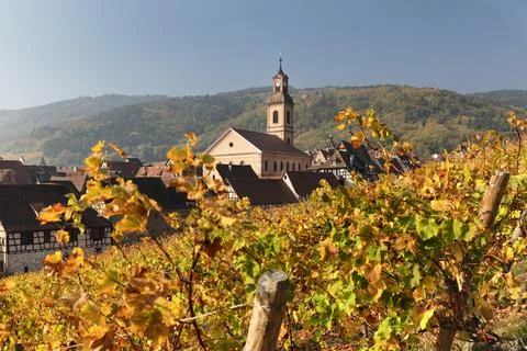 Riquewhir in autumn, Alsace, Alsatian Wine Route, Haut-Rhin, France, Europe Stock Photos