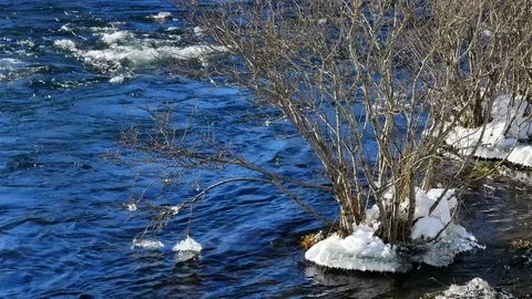 Rirver flooding Stock Footage 77488803