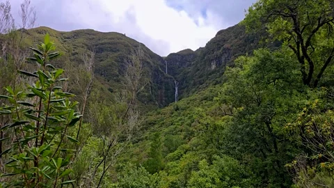 Risco Waterfall In Madeira Flowing Down Steep Green Cliffs With Lush Laurisilva Vidéo 334352142