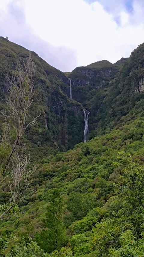 Risco Waterfall In Madeira Flowing Down Steep Green Cliffs With Lush Laurisilva Vidéo 334352234