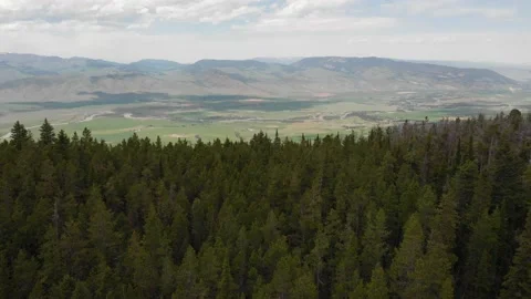 Rise above the trees to see valley Stock Footage 166329733