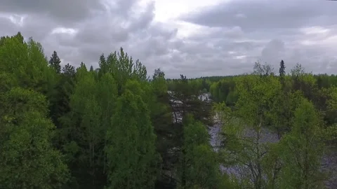 Rise behind trees to river rapids. Aerial view of rapids in northern Finland Stock Footage 134792364