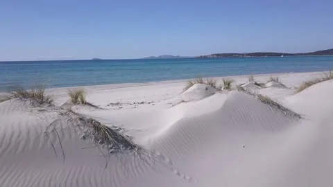 Rise from the dunes Stock Footage 170880636