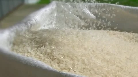 Rise Stock Footage 10886162