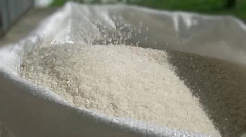 Rise Stock Footage 10894701