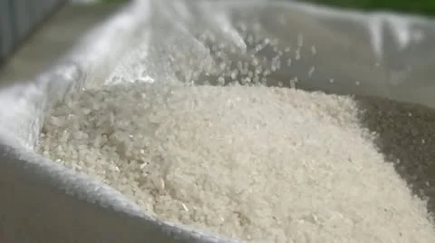 Rise Stock Footage 10894750