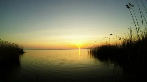 Rise Video stock 36556818