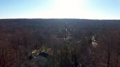 Rise over trees and forest. 4k Aerial Stock Footage 145330949