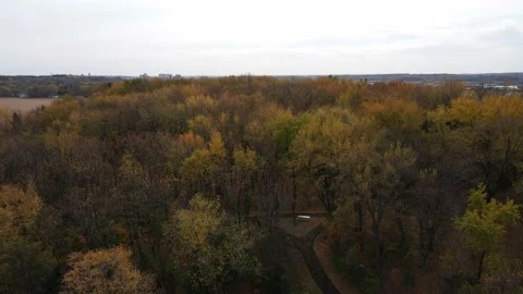 Rise to reveal wooded park with city behind it Stock Footage