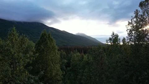 Rise up Through Trees to Reveal Cloud Covered Mountain at Sunset Stock Footage 217849283