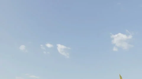 Rishikesh-Dog on Ganges Stock Footage 38311519