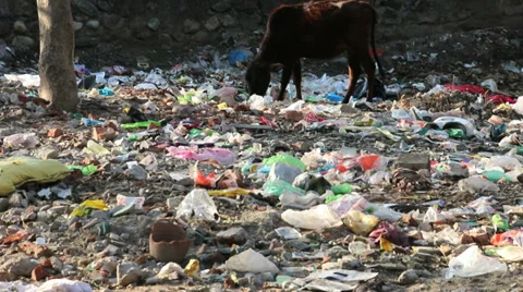 Rishikesh-Garbage 動画素材 38379635