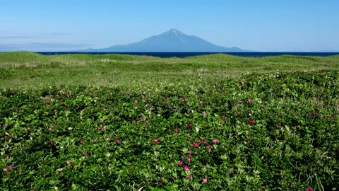 Rishiri Island, Hamasa Robetsu's Rose, and the Japan Sea 스톡 동영상 332247073