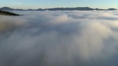 Rising above the clouds in the mountains. Dense low morning clouds in green 库存影片 139614934