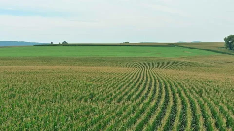 Rising Above Farm Fields to View Landscape and Farms Aerial Vidéo 159438172