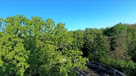 Rising above the forest Vídeos de archivo 89639813