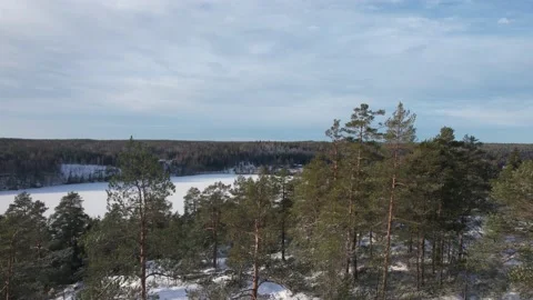 Rising above a forest ridge Video stock 231711272