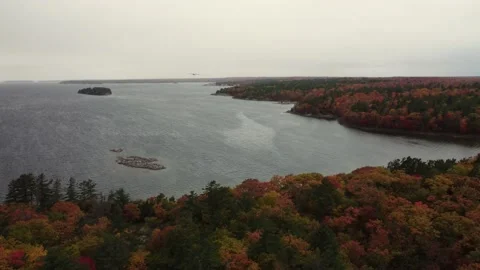 Rising above Killbear provincial park, Canada, with eagle soaring across Stock Footage 236593903