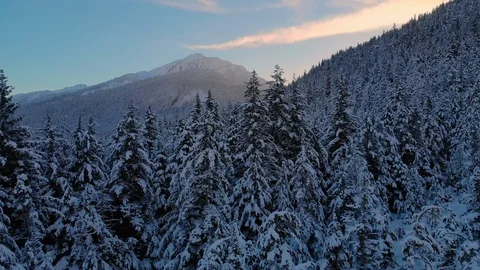 Rising above snow-covered trees to see the sunset shining between the mountains Stock Footage 101006509