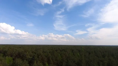 Rising above the tree crowns Stock Footage 89449698