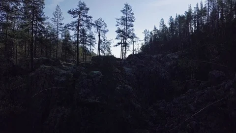 Rising above trees on dark cliff Stock Footage 100587485