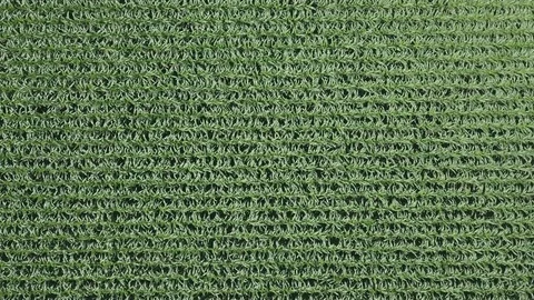 Rising aerial shot of pattern in corn field, background image. Stock Footage 119790293