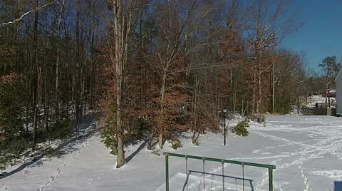 Rising along side trees Video stock 47005355