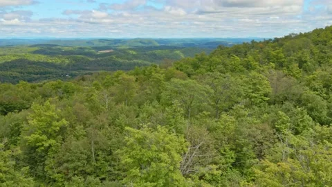 Rising from behind the trees paning slowly left revealing the panorama Stock Footage 170405905