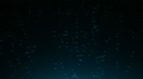 Rising Bubbles Background 1 Stock Footage 317885