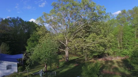 Rising From Cabin Yard Stock Footage 128542565