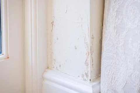 Rising damp (damp penetration) in solid brick wall of a UK home Stock Photos