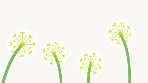 Rising Dandelion Stems Stock Footage 336062244