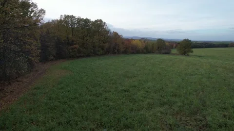 A rising drone flight in the Lower Silesia region - autumn colors on trees Stock Footage 259406762
