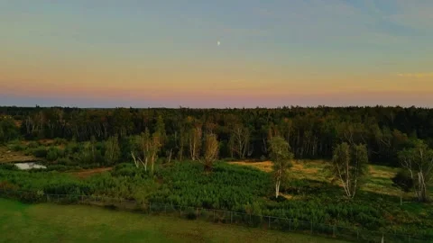 Rising Drone Flight Over Green Field Approaching Forest At Sunset Stock Footage 255350191