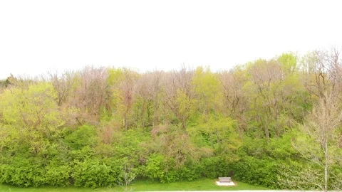 Rising Drone Over Trees Video stock 108543910