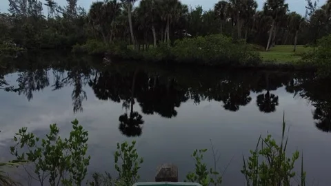 Rising drone shot of do not feed alligator sign with water in background Video stock 227628662