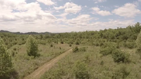 Rising Drone Shot Over Fields and Trees 스톡 동영상 243292325