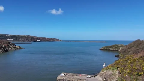 Rising drone shot over Lower Town Fishguard quayside with seagull entering frame Stock-Footage 332072593