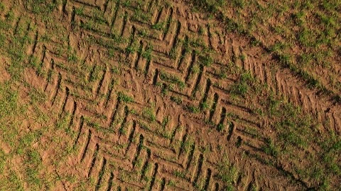 Rising Drone Shot Over Tractor Tracks and Field with Grass Patches Stock Footage 309203476