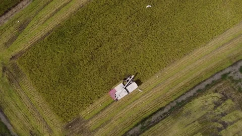 The rising up drone view of harvest concept clip. Stock Footage 199394136