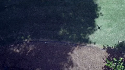 Rising Eagle Eye View of Lake House 库存影片 95764304