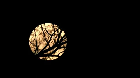 Rising fFull moon - time lapse - ninefold 9x - HD stock video Stock Footage 82401361