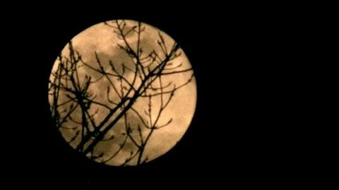 Rising fFull moon - time lapse - ninefold 9x - HD stock video Stock Footage 82401371