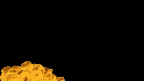 Rising Fire Animation. Stock Footage 122707083