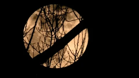 Rising full moon - time lapse - eightfold 8x - HD stock video Stock Footage 82401372