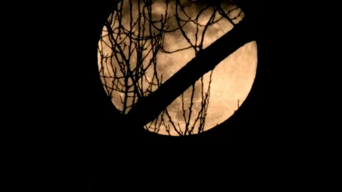 Rising full moon - time lapse - fivefold 5x - HD stock video Stock Footage 82401376