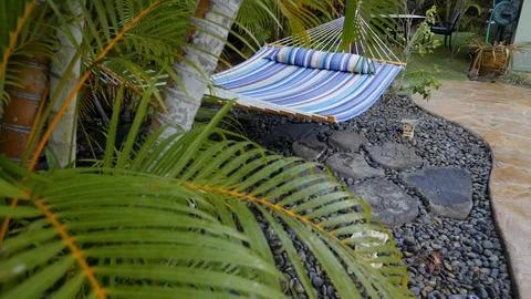 Rising to Hammock and Palm Tree Stock Footage 96226007